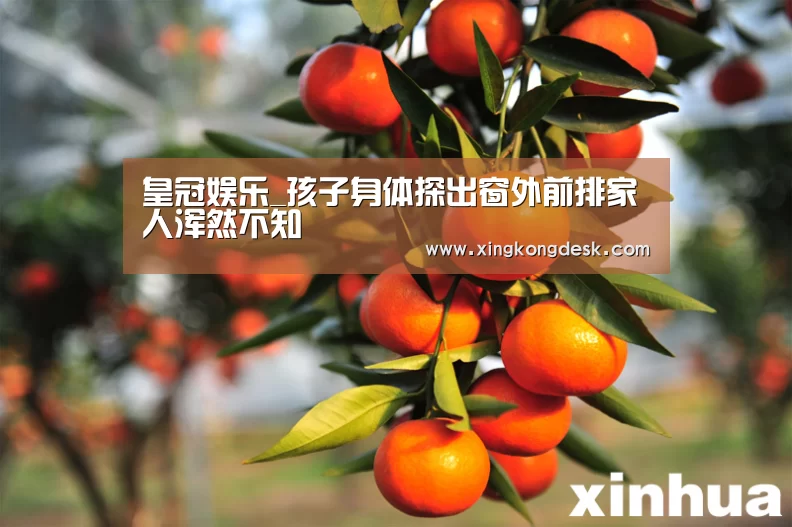 皇冠娱乐