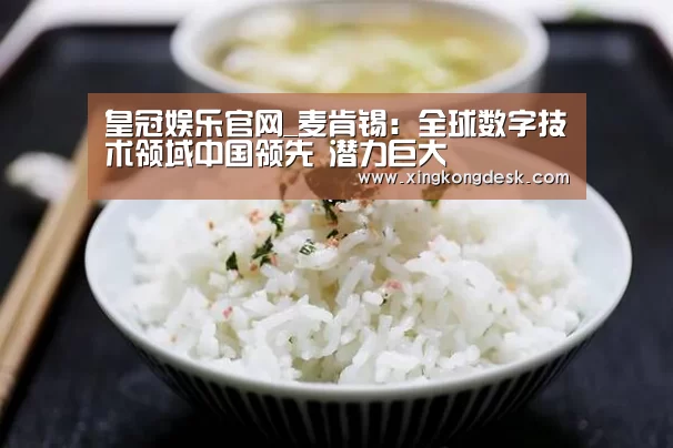 皇冠娱乐官网_麦肯锡:全球数字技术领域中国领先 潜力巨大(图2) 皇冠娱乐