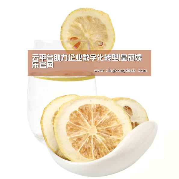 云平台助力企业数字化转型|皇冠娱乐官网(图3) 皇冠娱乐官网