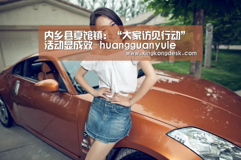 内乡县夏馆镇：“大家访见行动”活动显成效-huangguanyule(图2)
