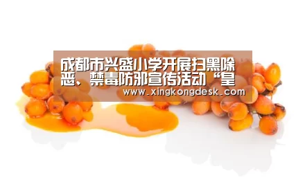 成都市兴盛小学开展扫黑除恶、禁毒防邪宣传活动“皇冠娱乐”(图2) 成都市兴盛小学开展扫黑除恶、禁毒防邪宣传活动“皇冠娱乐”(图2)
